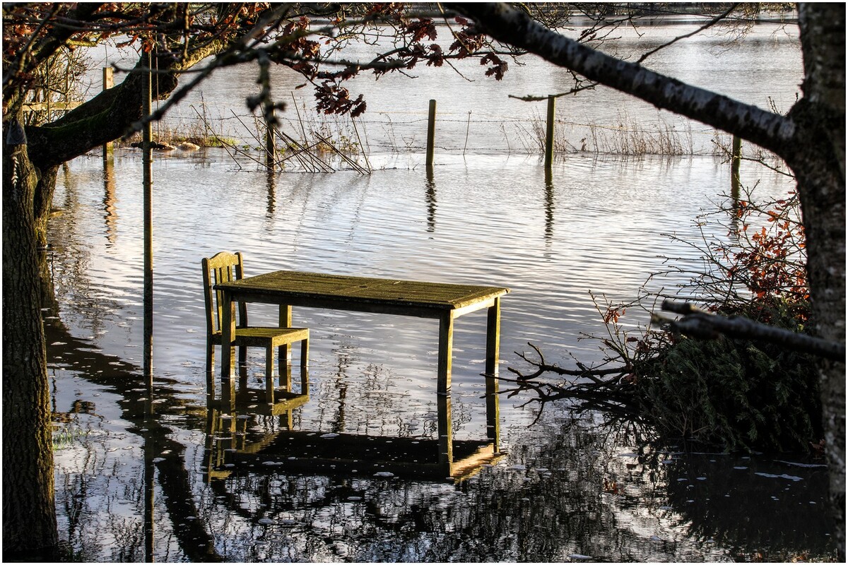 Flooded Picnic